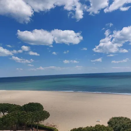 Renove, Terrasse Et Parking, A 500m De La - Fr-1-776-61 Διαμέρισμα Argelès-sur-Mer