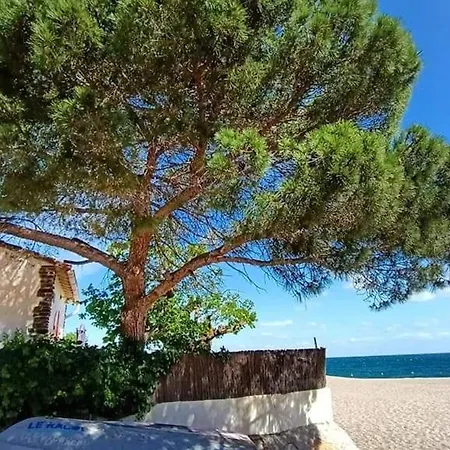 Renove, Terrasse Et Parking, A 500m De La - Fr-1-776-61 Argelès-sur-Mer