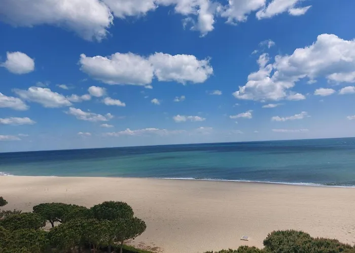 Renove, Terrasse Et Parking, A 500m De La - Fr-1-776-61 Διαμέρισμα Argelès-sur-Mer