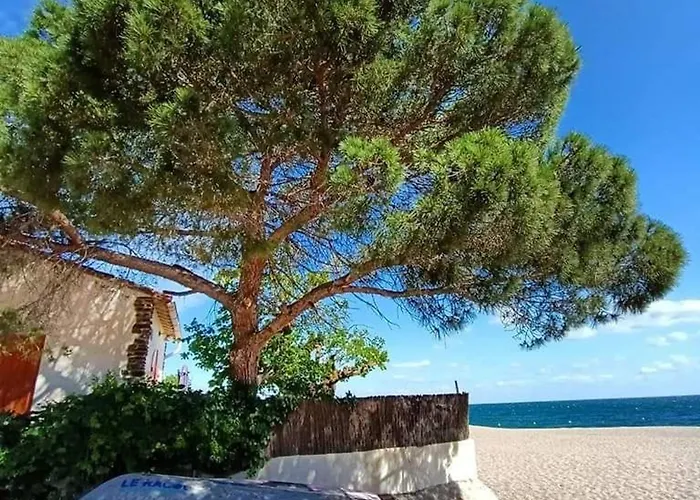 Renove, Terrasse Et Parking, A 500m De La - Fr-1-776-61 Argelès-sur-Mer
